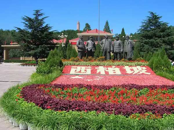 西柏坡干部培训
